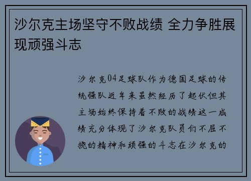 沙尔克主场坚守不败战绩 全力争胜展现顽强斗志